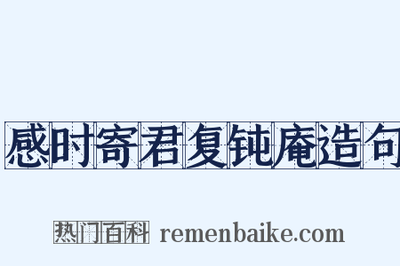 感时寄君复钝庵造句是什么意思的图片